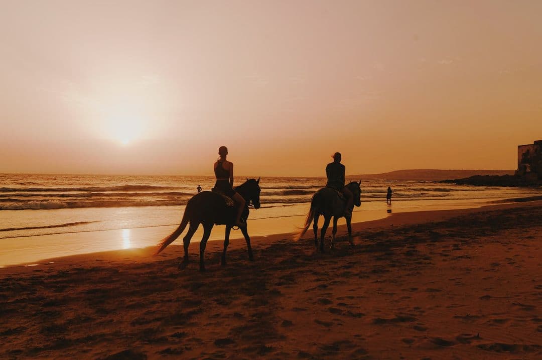 Discover the magic of Morocco's coast with an unforgettable horseback ride along Essaouira's serene shoreline at sunset.