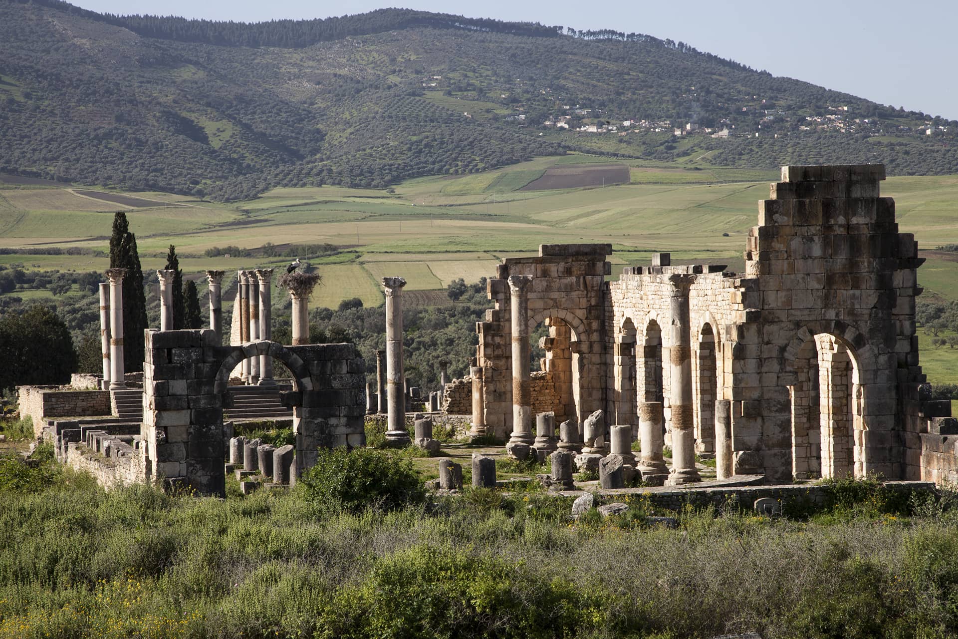 The ancient Roman ruins of Volubilis, Morocco, stand in majestic solitude against a backdrop of rolling green hills.