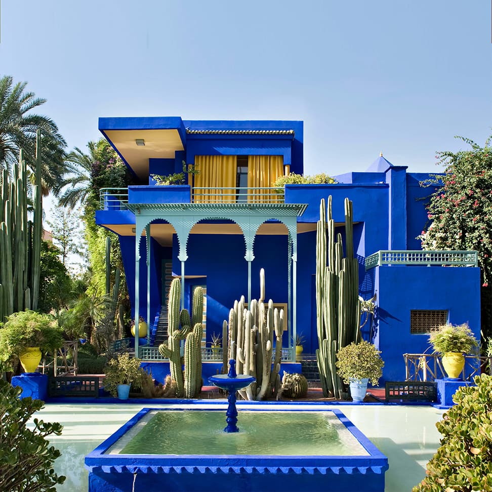 Vibrant colors and lush greenery at Jardin Majorelle, a serene oasis in Marrakesh.