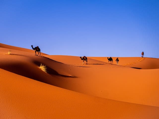 sahara desert morocco