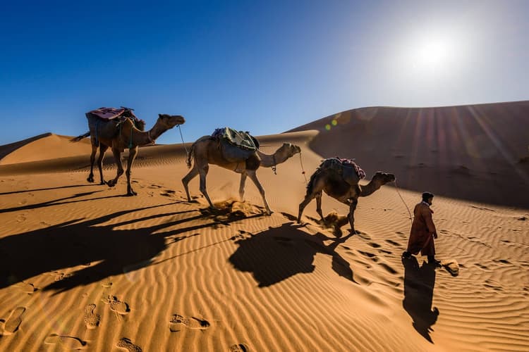 sahara desert morocco