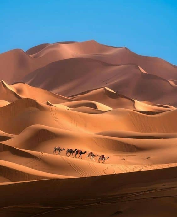 Sahara Desert Morocco