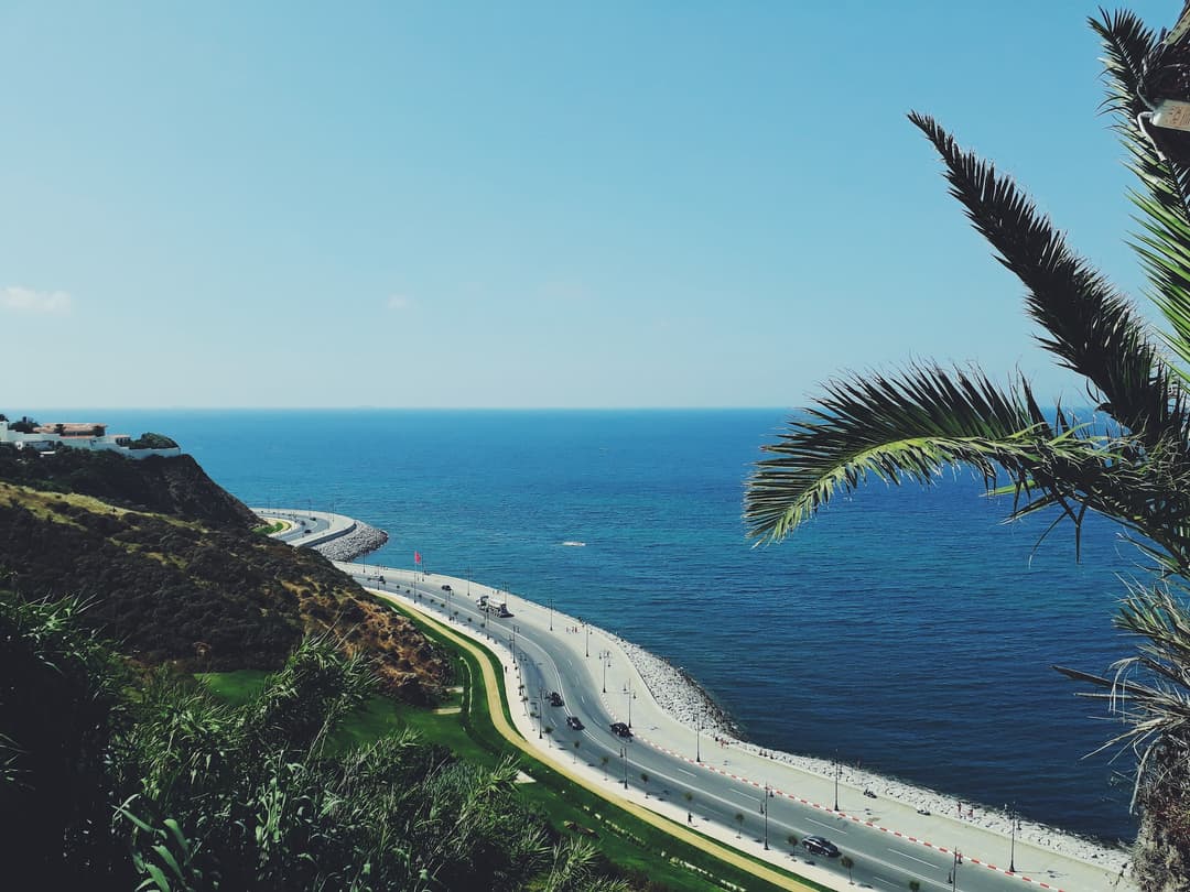 The vibrant landscape of Tangier with a prominent palm tree framing a coastal road that snakes around a hillside, leading to the azure ocean.